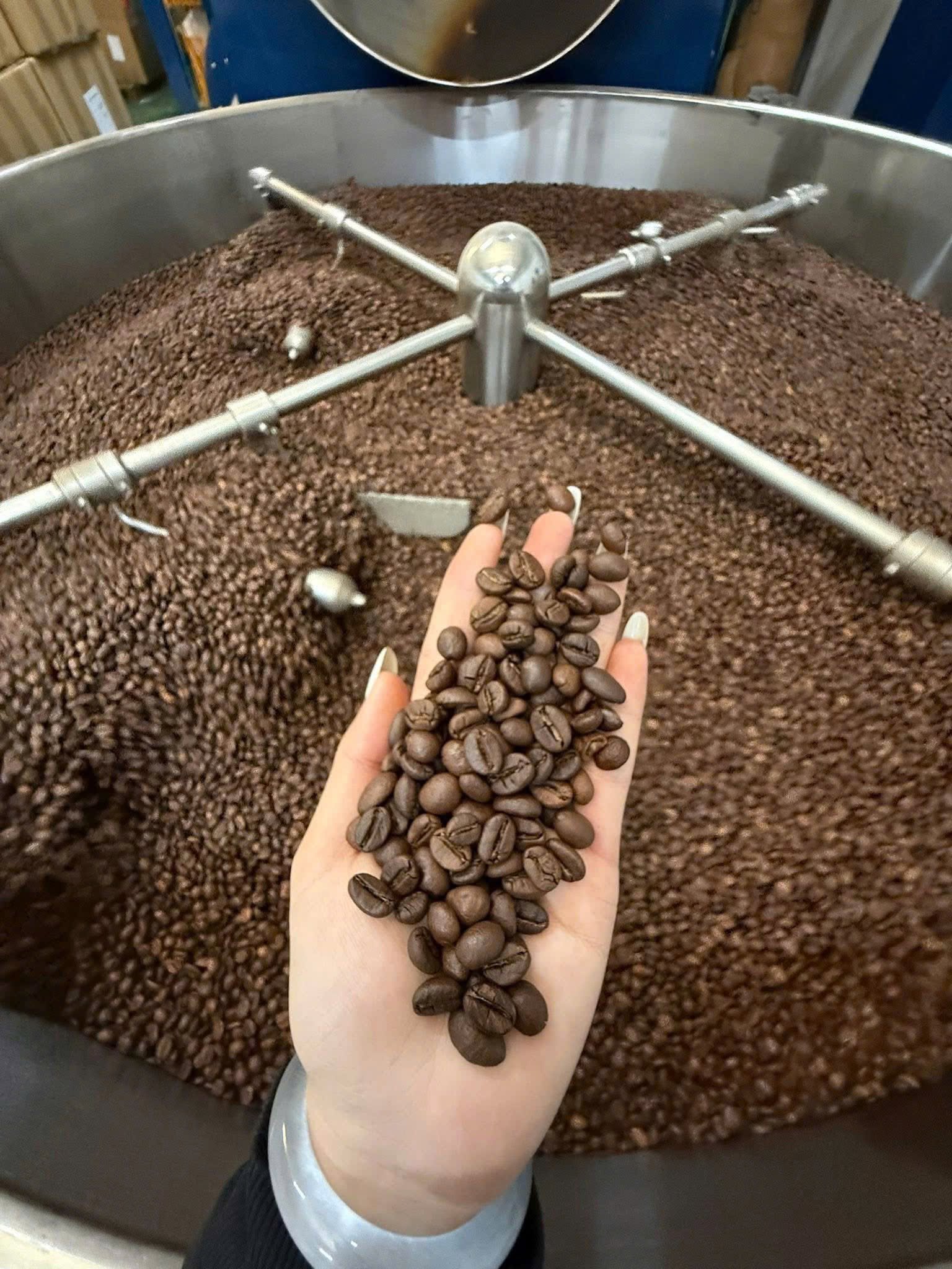 Roasted Coffee Batch