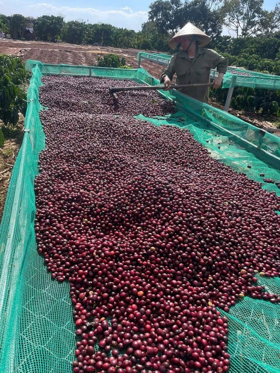 Farmer